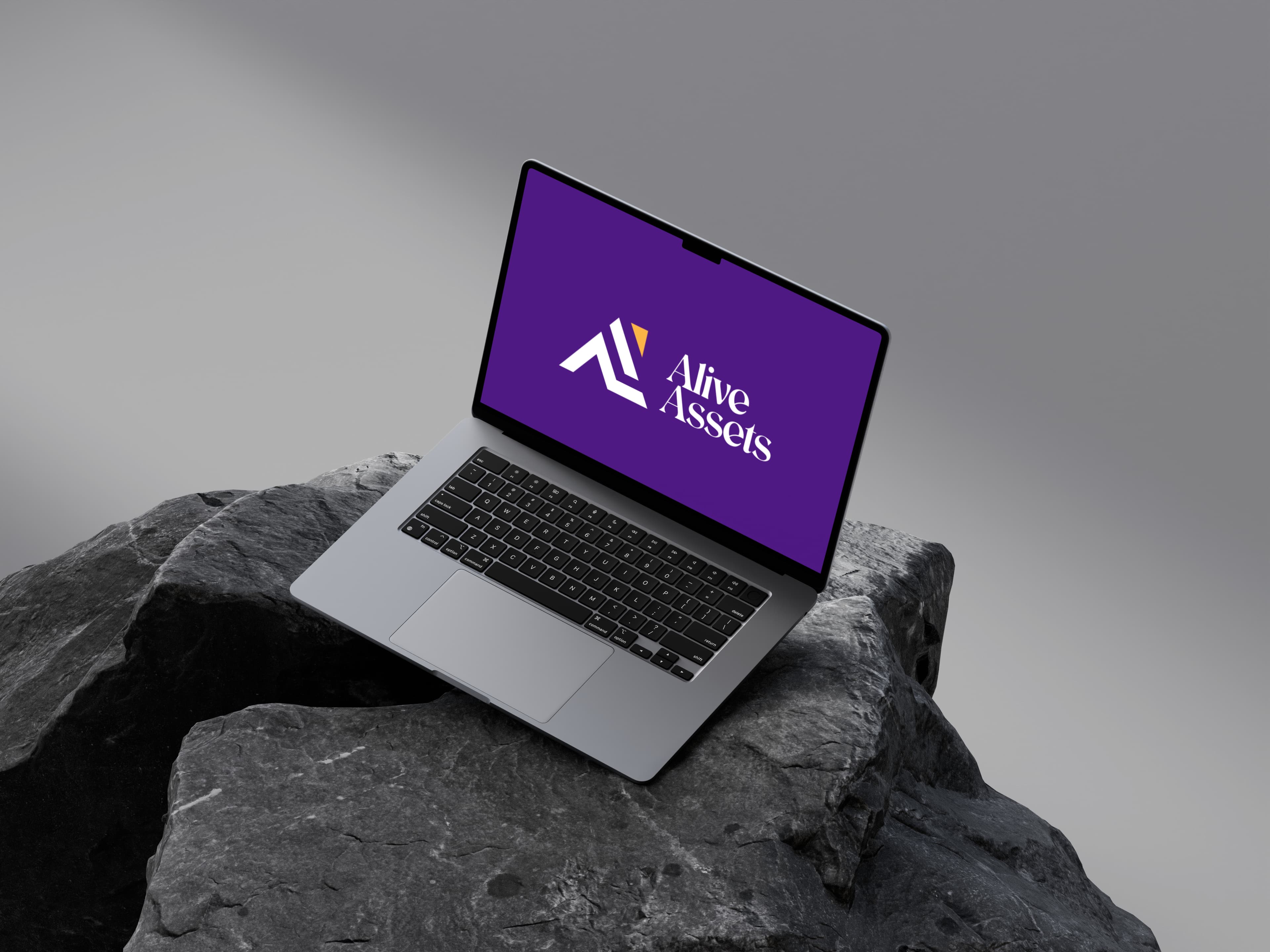 Web Development service mockup